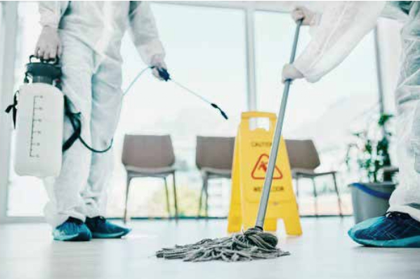 CLEANING AND PEST CONTROL